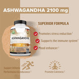 ashwagandha capsules